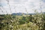 The Best of Tuscany 6 Thumb