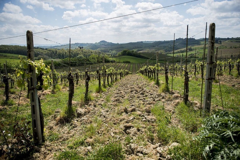 The Best of Tuscany 8 Full Image