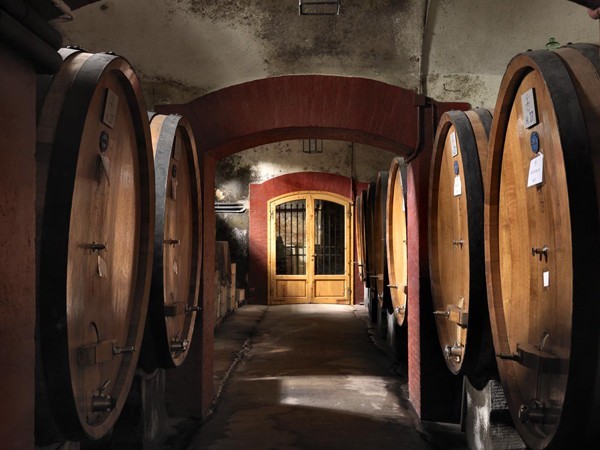 Wine Safaris 3 Full Image