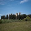 Wine Safaris 8 Thumb