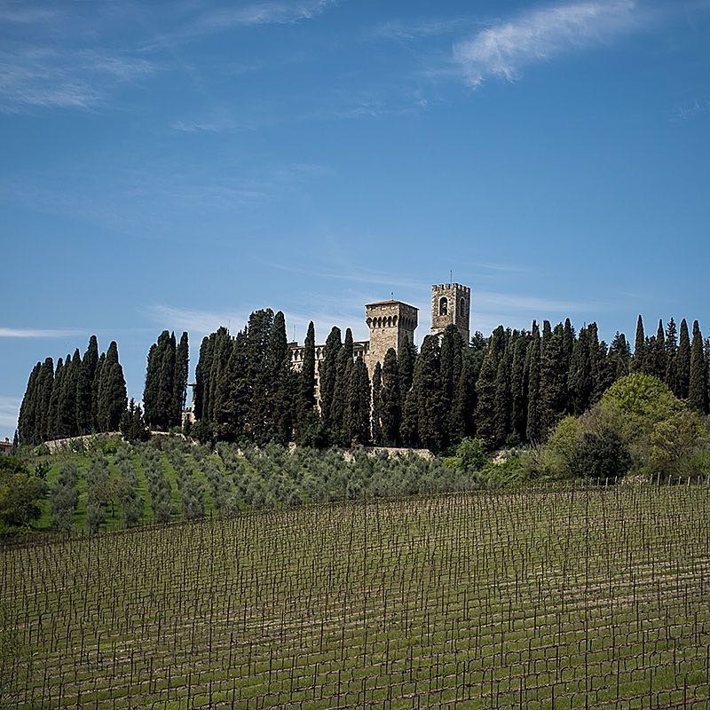 Wine Safaris 8 Full Image