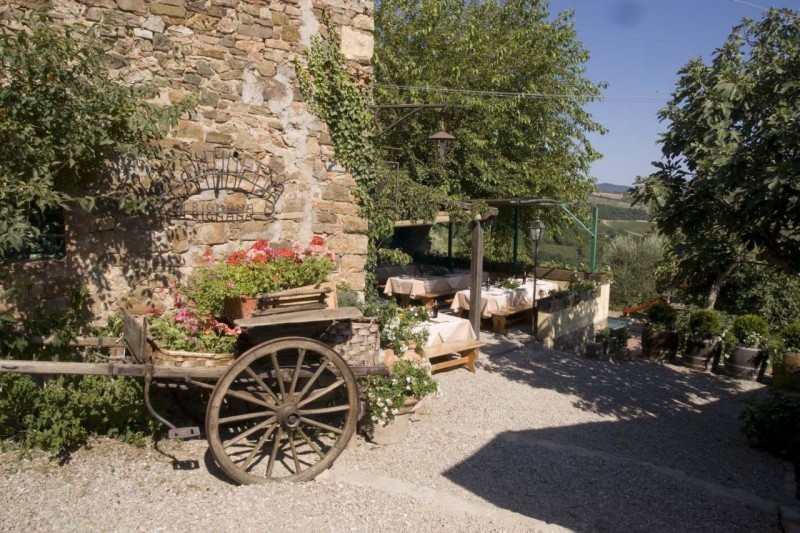 Wine Safaris 9 Full Image
