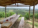 Wine Safaris 10 Thumb