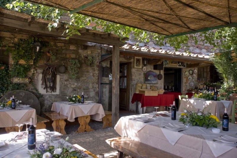 Wine Safaris 11 Full Image
