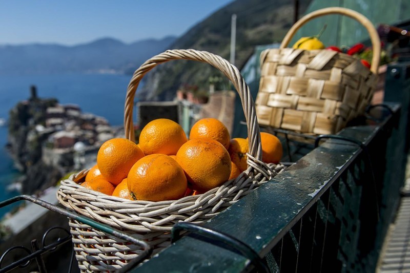Private Cinque terre 8 Full Image