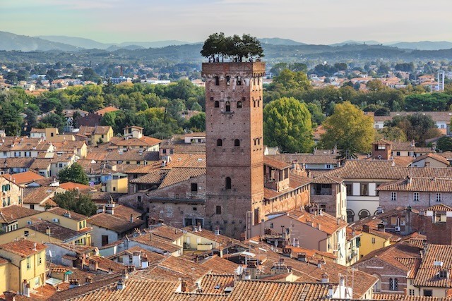 Private Pisa and Lucca 4 Full Image
